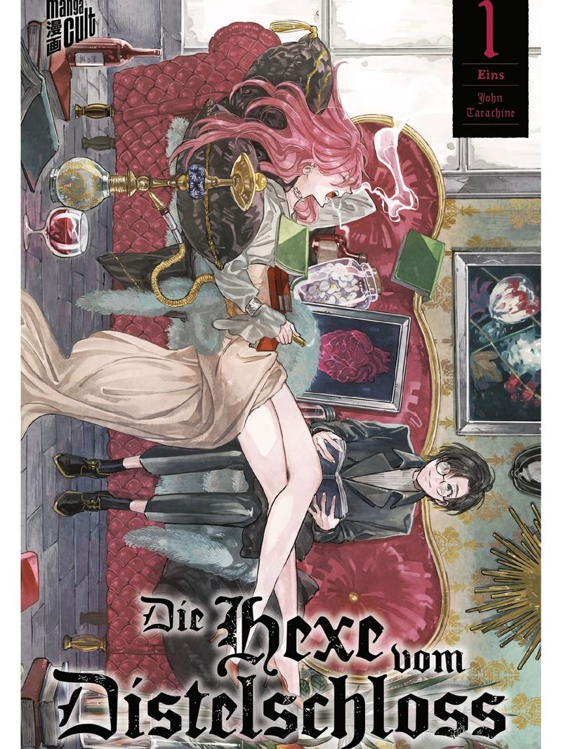 Die Hexe vom Distelschloss 1 (Neu/ Bestellware)