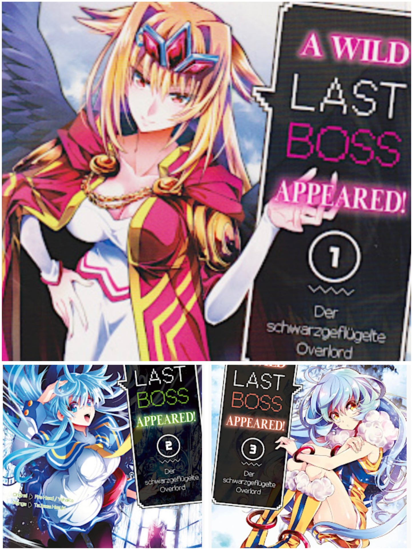 A Wild Last Boss Appeared! – Der schwarzgeflügelte Overlord 1-3