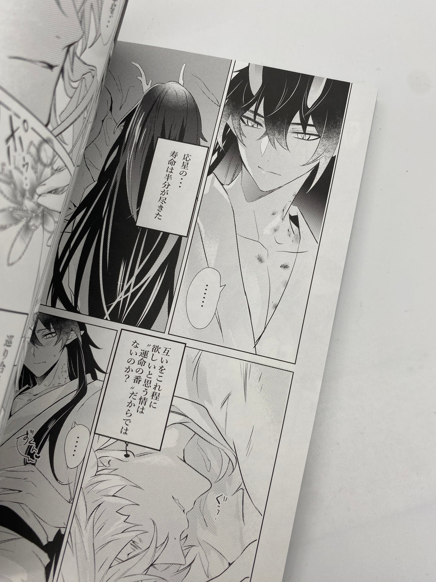 Honkai Star Rail - Blade x Dan Heng Doujinshi R18 XXL