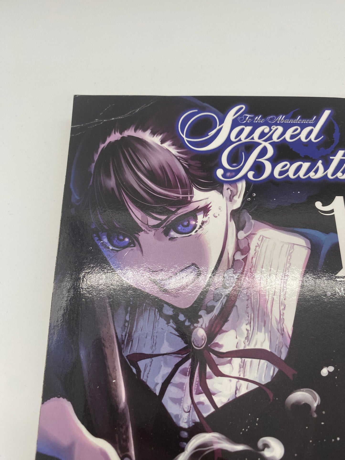 To The Abandoned Sacred Beasts 1-10