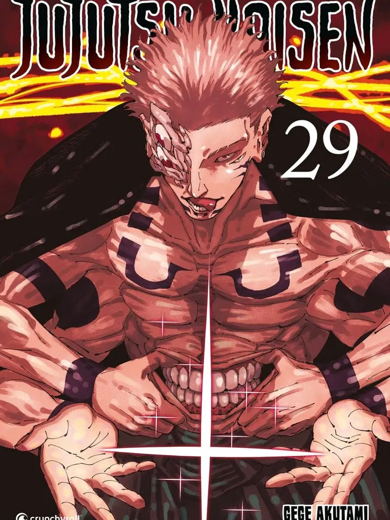 Jujutsu Kaisen 29 (Neu)