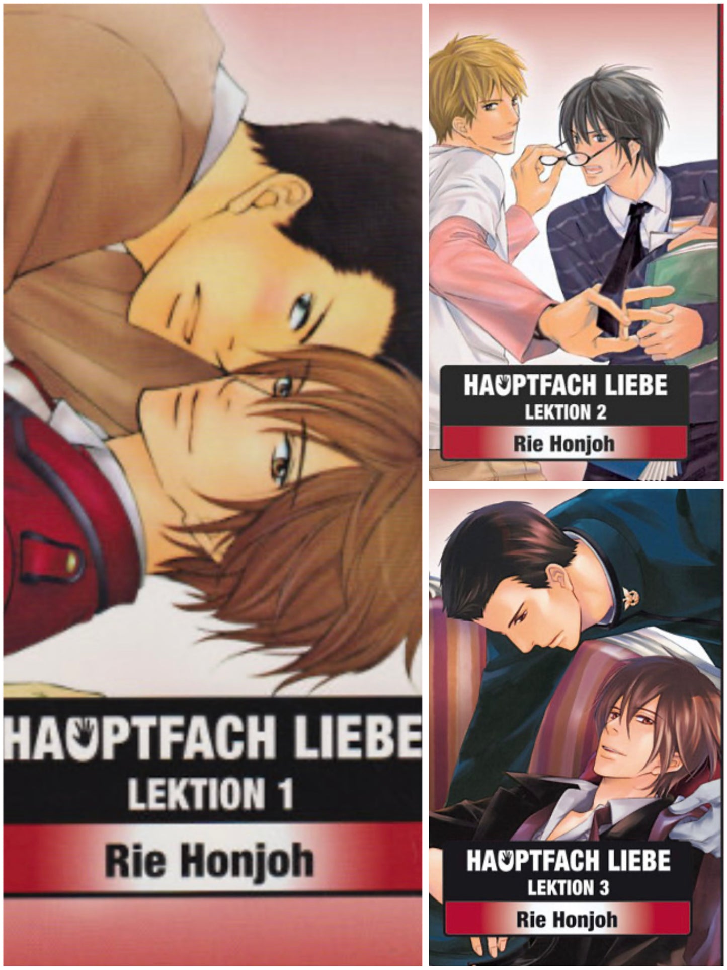 Hauptfach Liebe 1-3