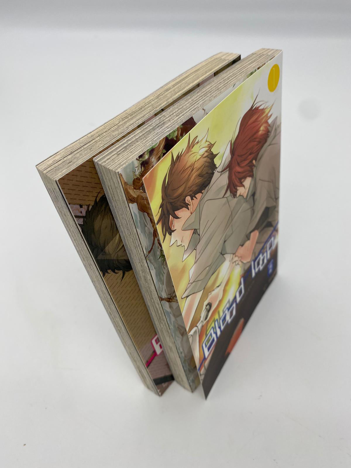 Blood Loop 1-2