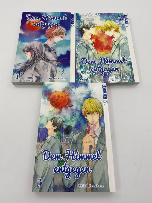 Dem Himmel entgegen 1-3