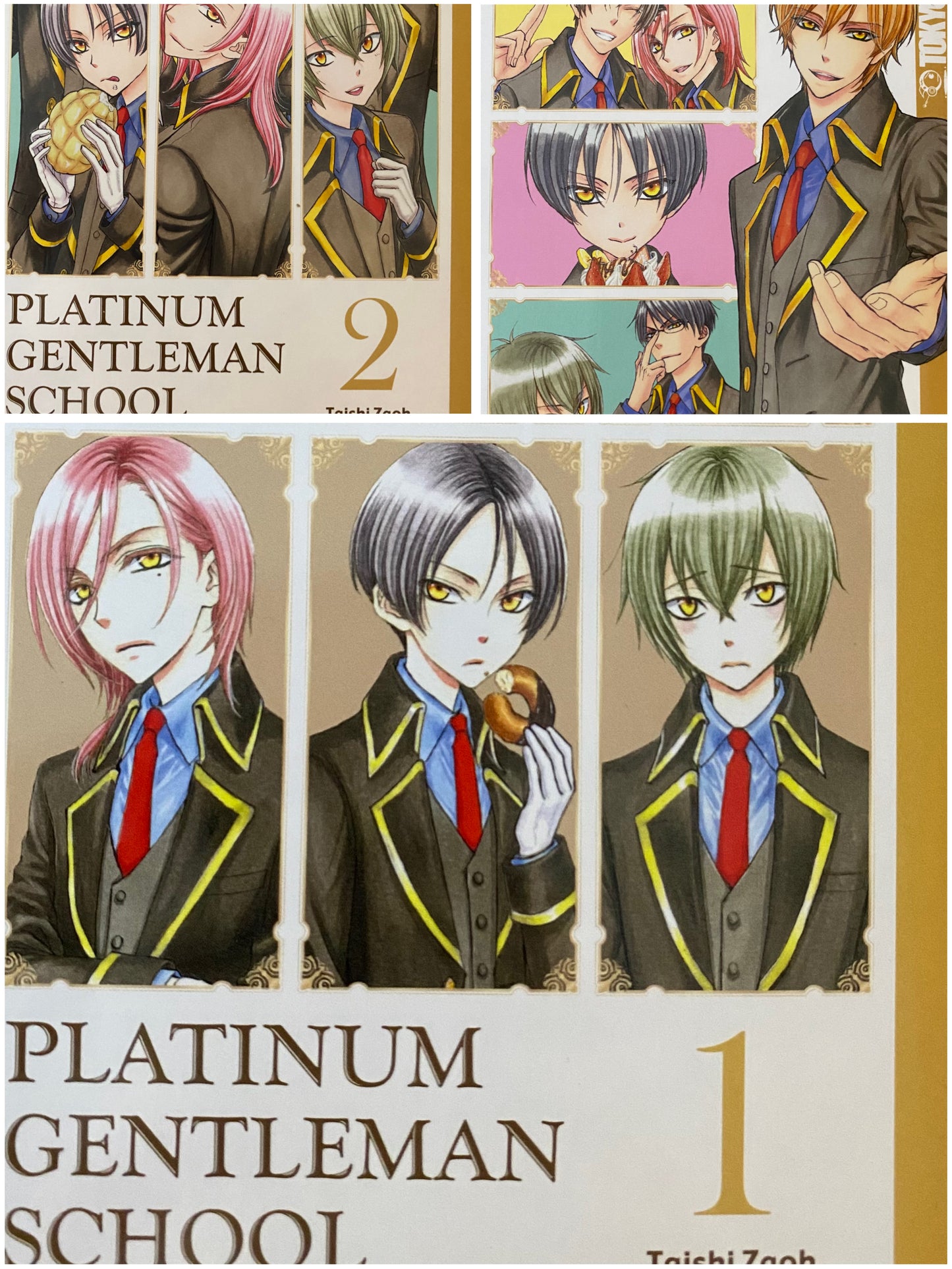 Platinum Gentleman School 1-3