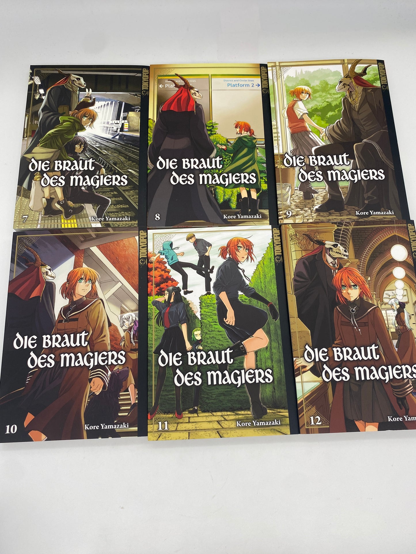 Die Braut des Magiers 1-14 + Merkmal