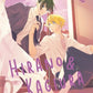 Hirano & Kagiura 4 (Neu)
