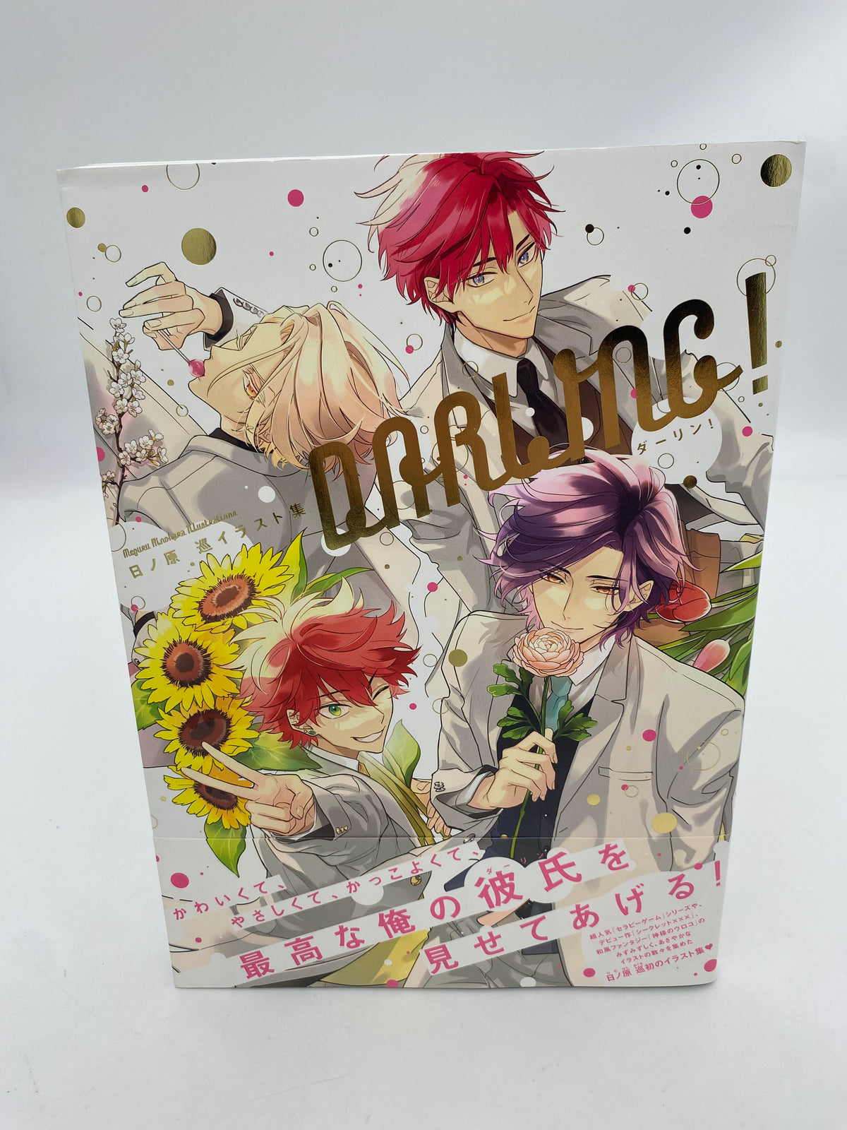 Meguru Hinohara Illustrations: DARLING! (Therapy Game, Weißer Drache)