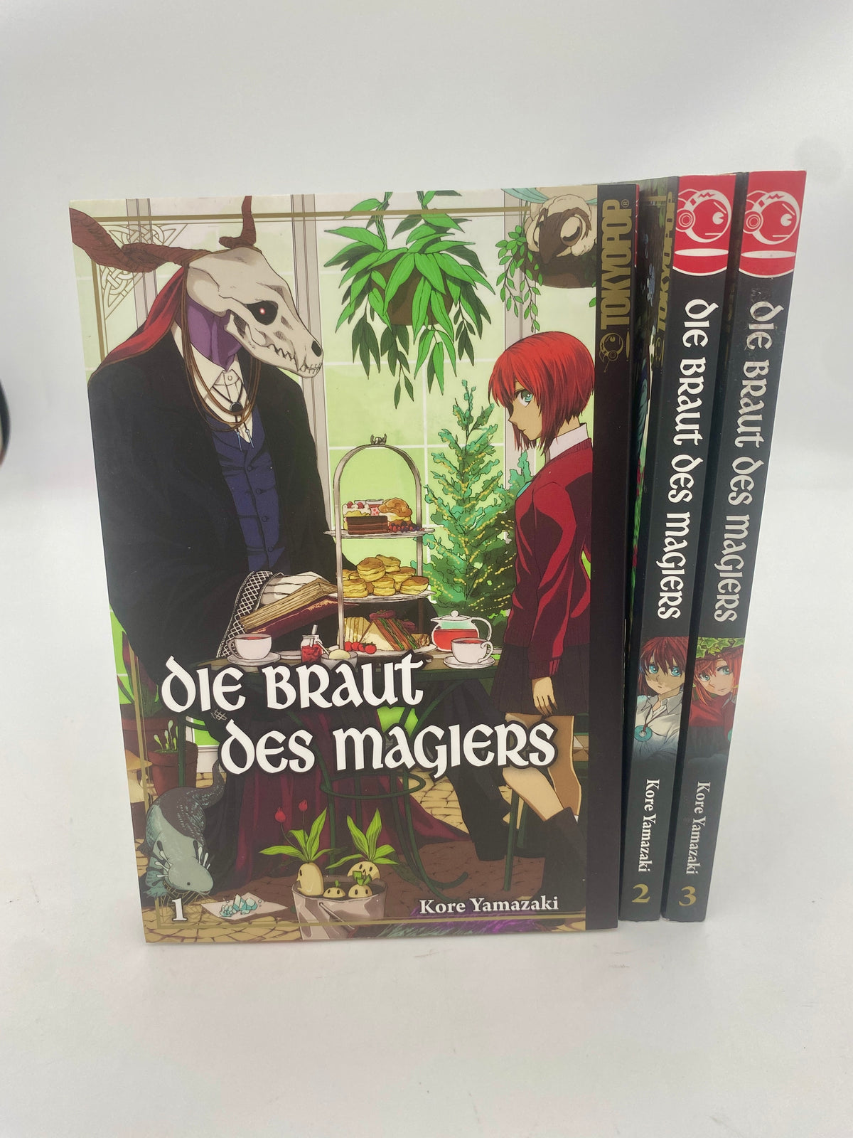 Die Braut des Magiers 1-3