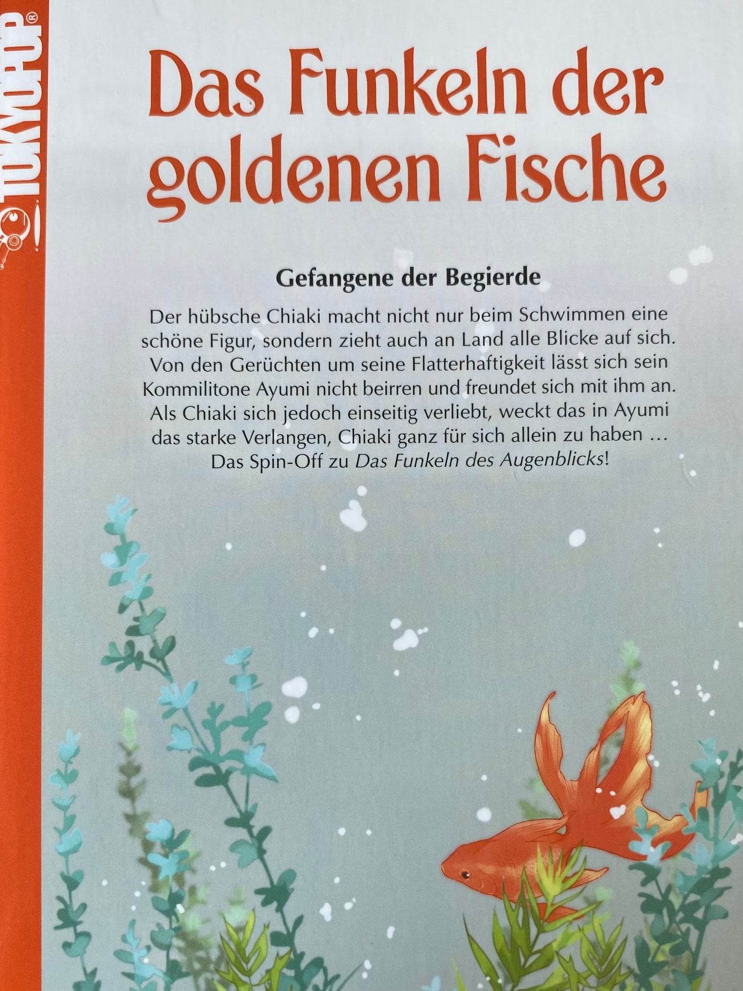 Das Funkeln des Augenblicks + Das Funkeln der goldenen Fische