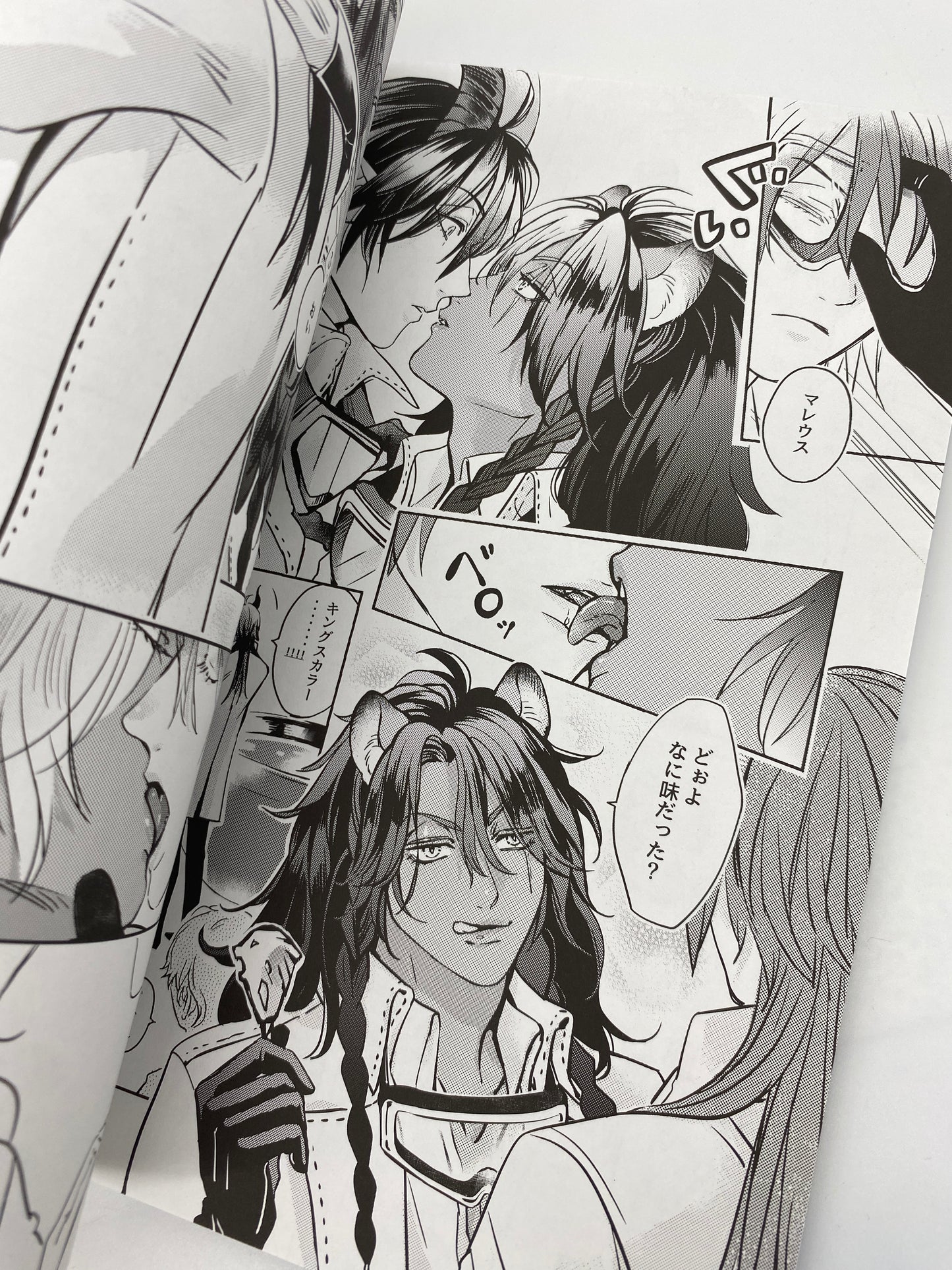 Twisted Wonderland - Malleus x Leona Doujinshi (+ Light Novel) R18