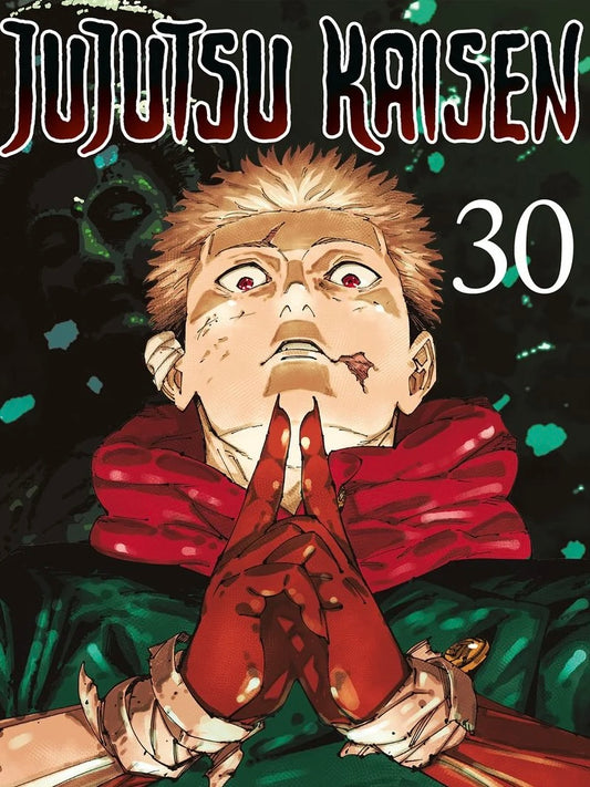Jujutsu Kaisen 30 (Neu)