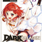 Dark Paladin 3 (Neu)