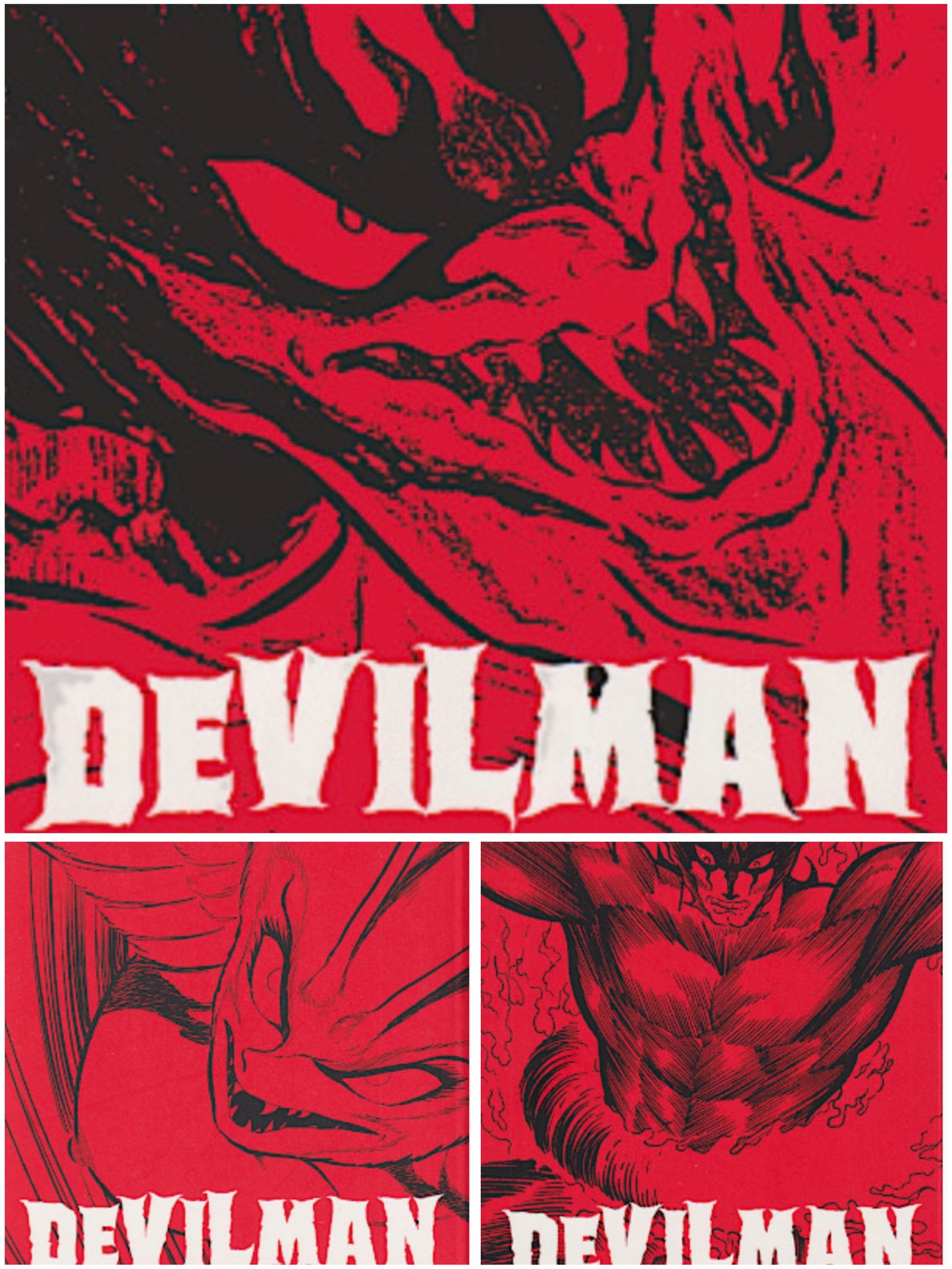 Devilman 1-3