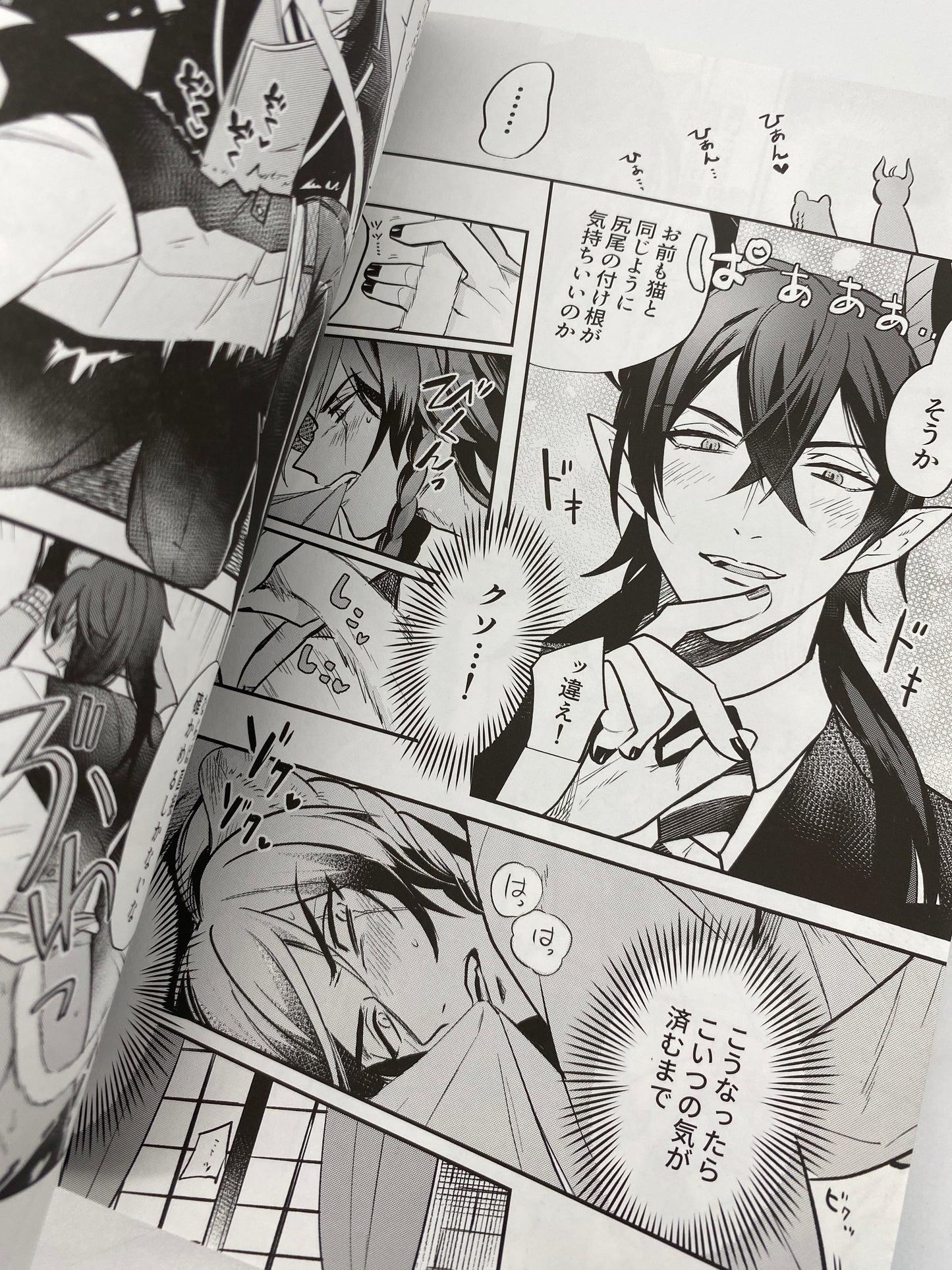 Twisted Wonderland - Malleus x Leona Doujinshi (+ Light Novel) R18