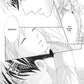 Arashi's Hug Pillow 1 (Neu)