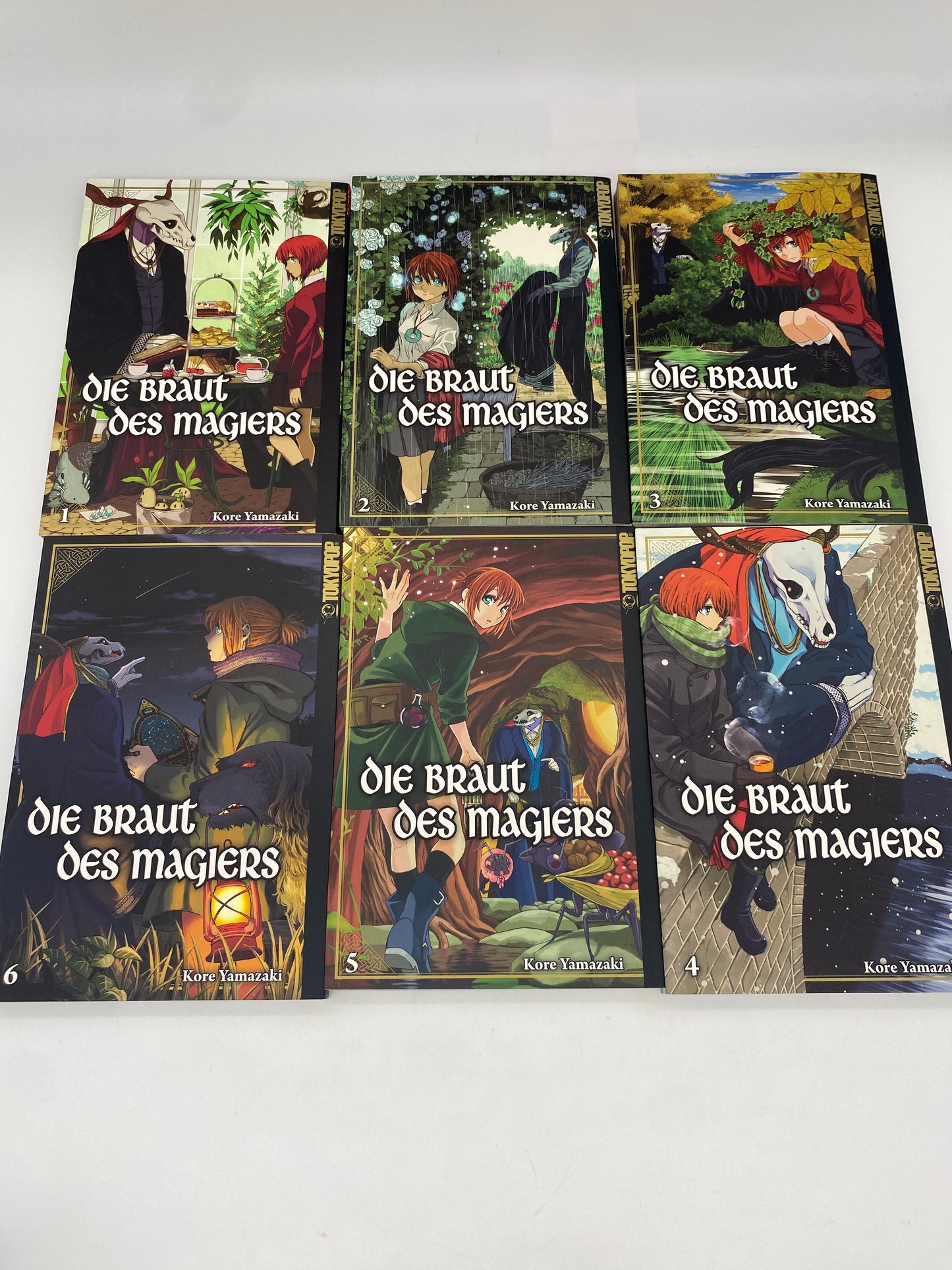 Die Braut des Magiers 1-14 + Merkmal