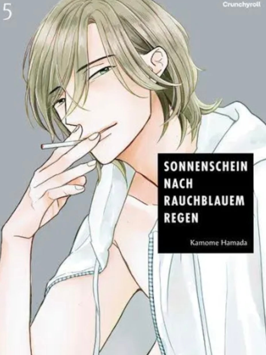 Sonnenschein nach rauchblauem Regen 5 (Neu)