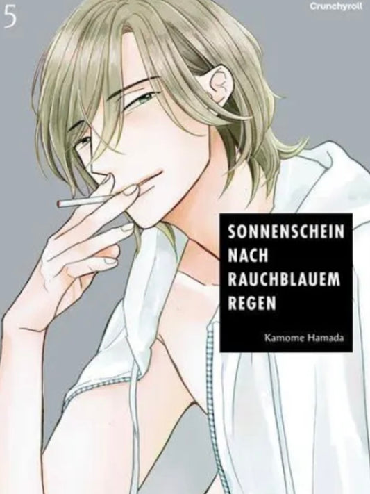 Sonnenschein nach rauchblauem Regen 5 (Neu)