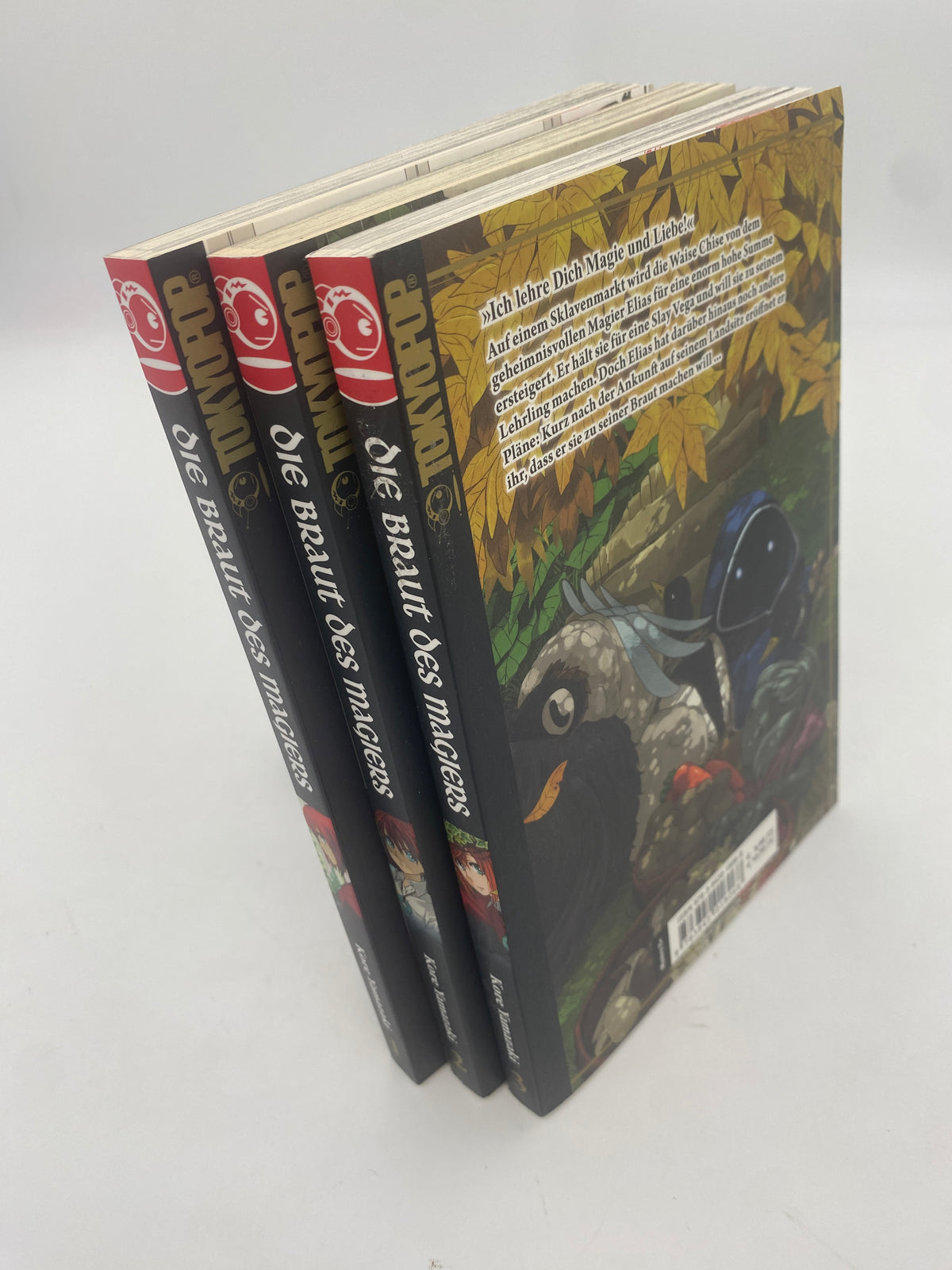 Die Braut des Magiers 1-3