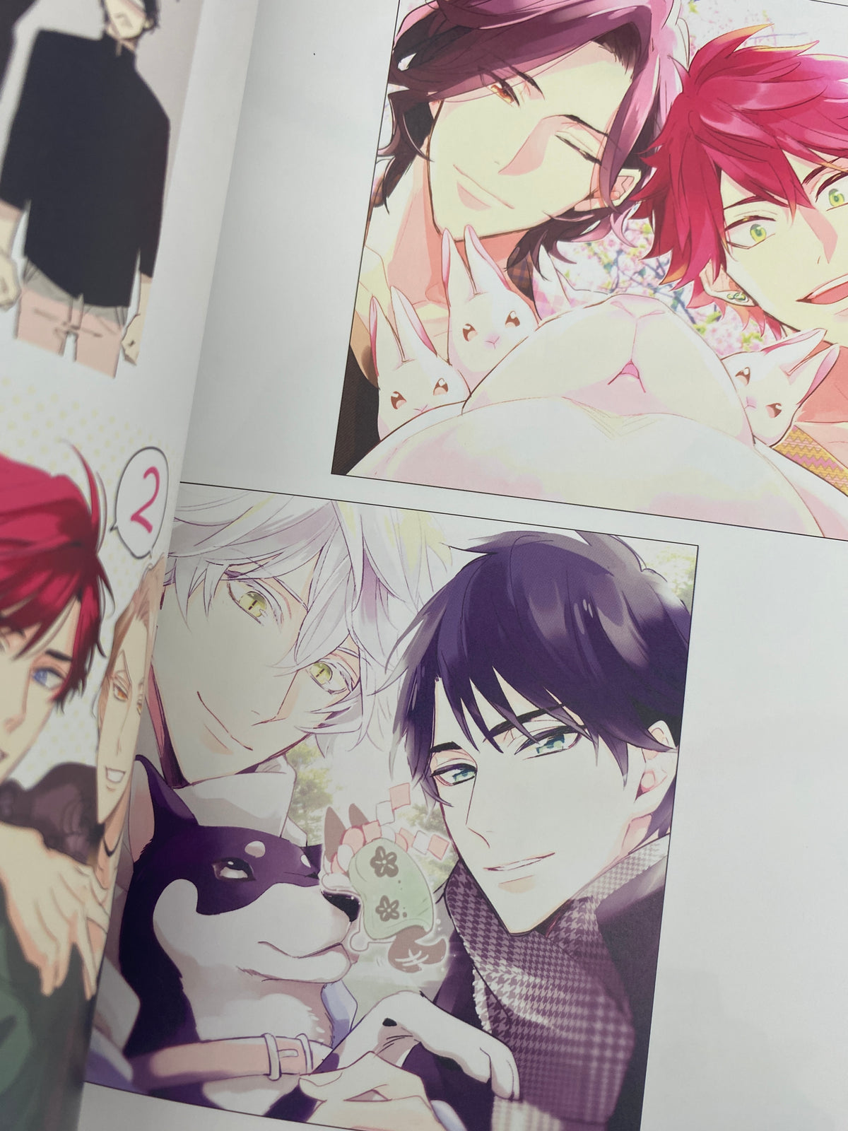 Meguru Hinohara Illustrations: DARLING! (Therapy Game, Weißer Drache)