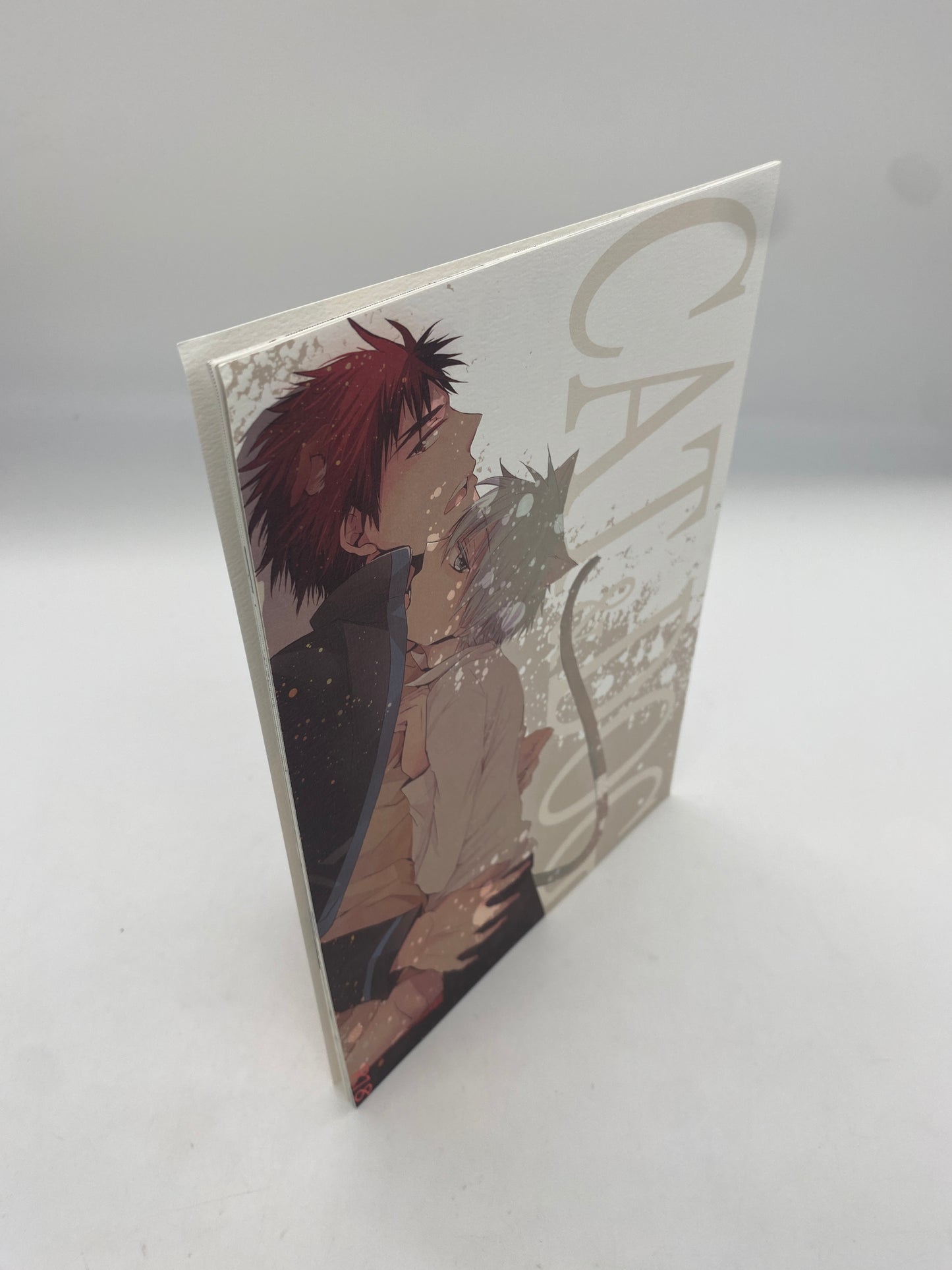 Kuroko's  Basketball Doujinshi R18