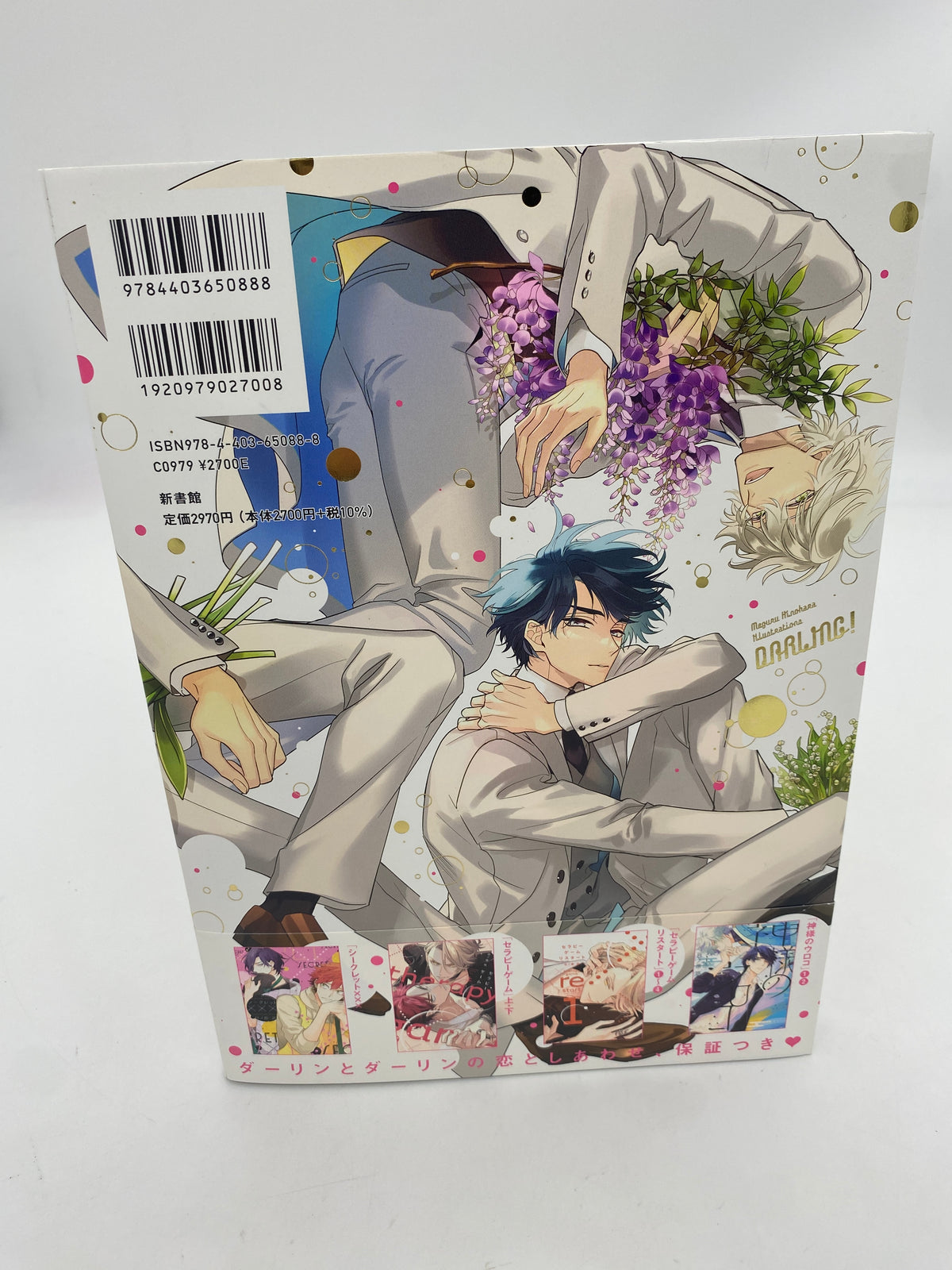 Meguru Hinohara Illustrations: DARLING! (Therapy Game, Weißer Drache)