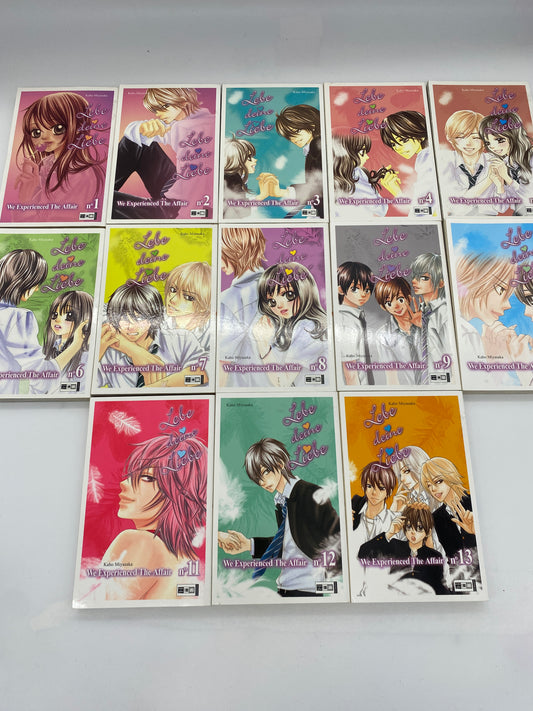 Lebe deine Liebe 1-13