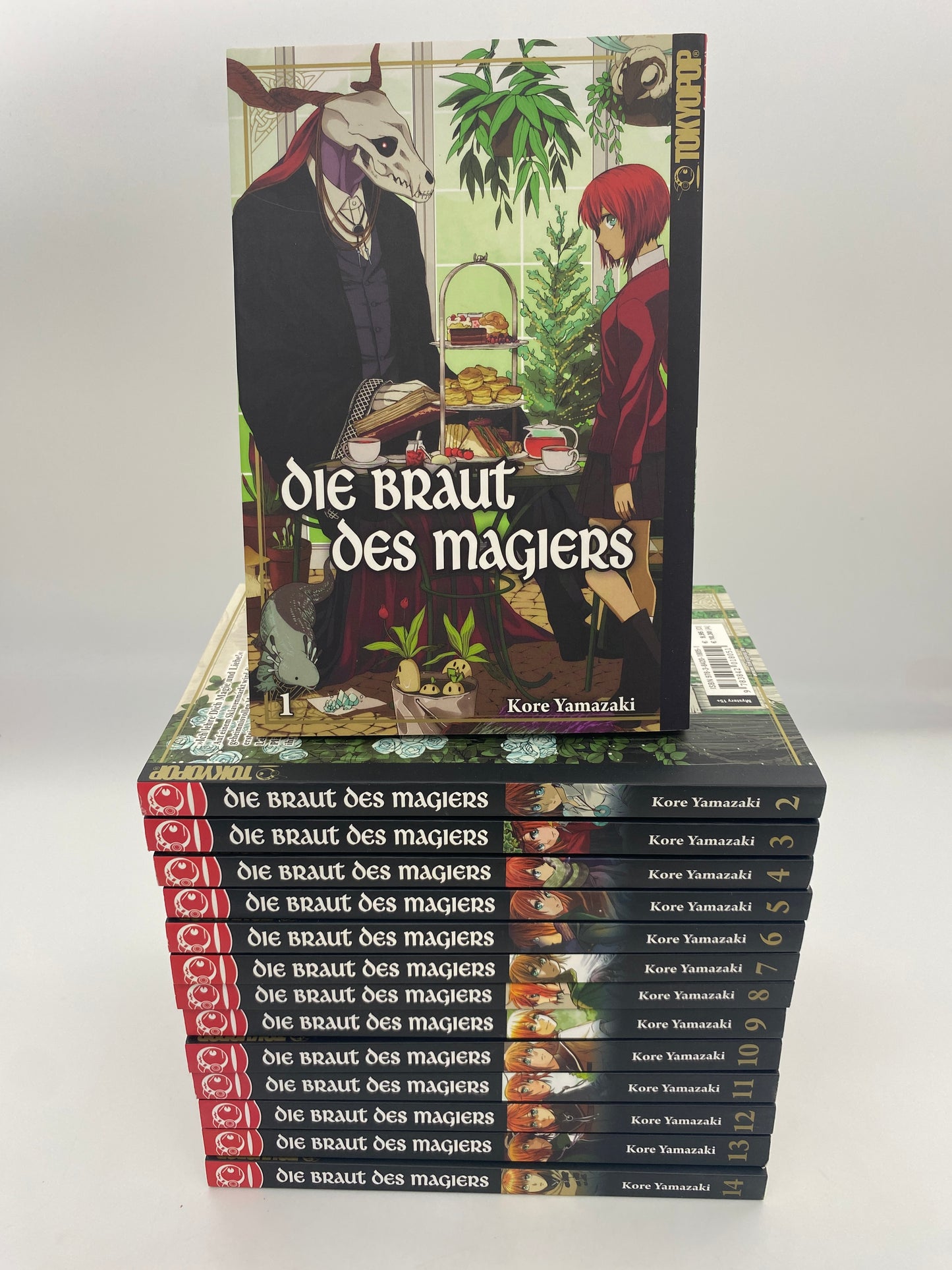 Die Braut des Magiers 1-14 + Merkmal
