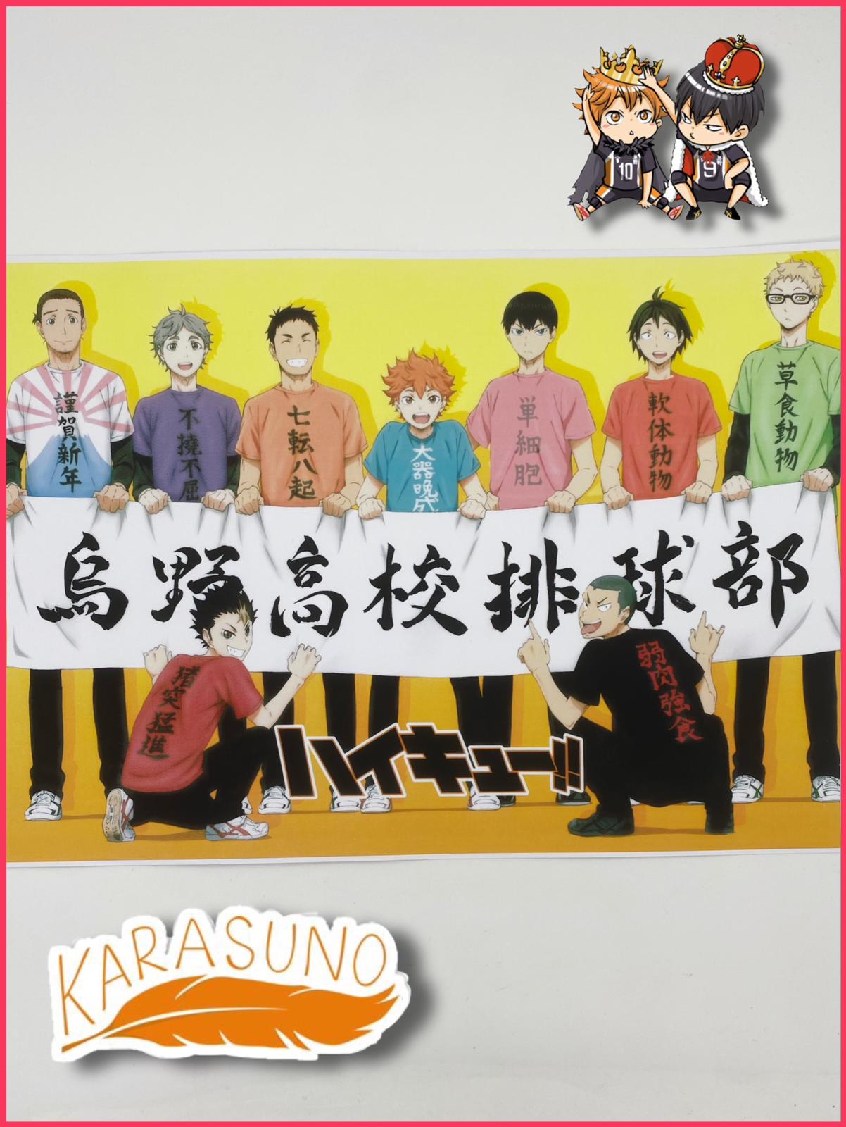 Haikyu!! Karasuno Poster DIN A3