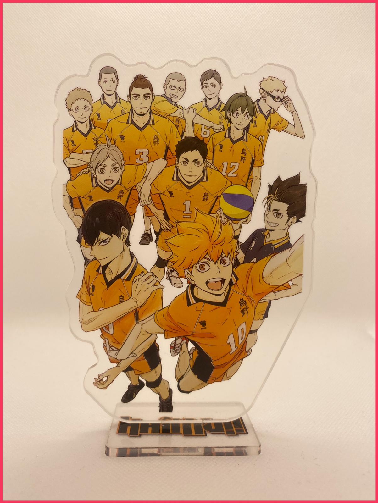 Haikyu!! Acryl-Stand - Team Karasuno