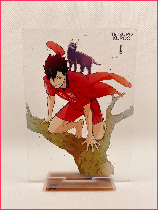 Haikyu!! Acryl-Stand - Kuroo Tetsurou