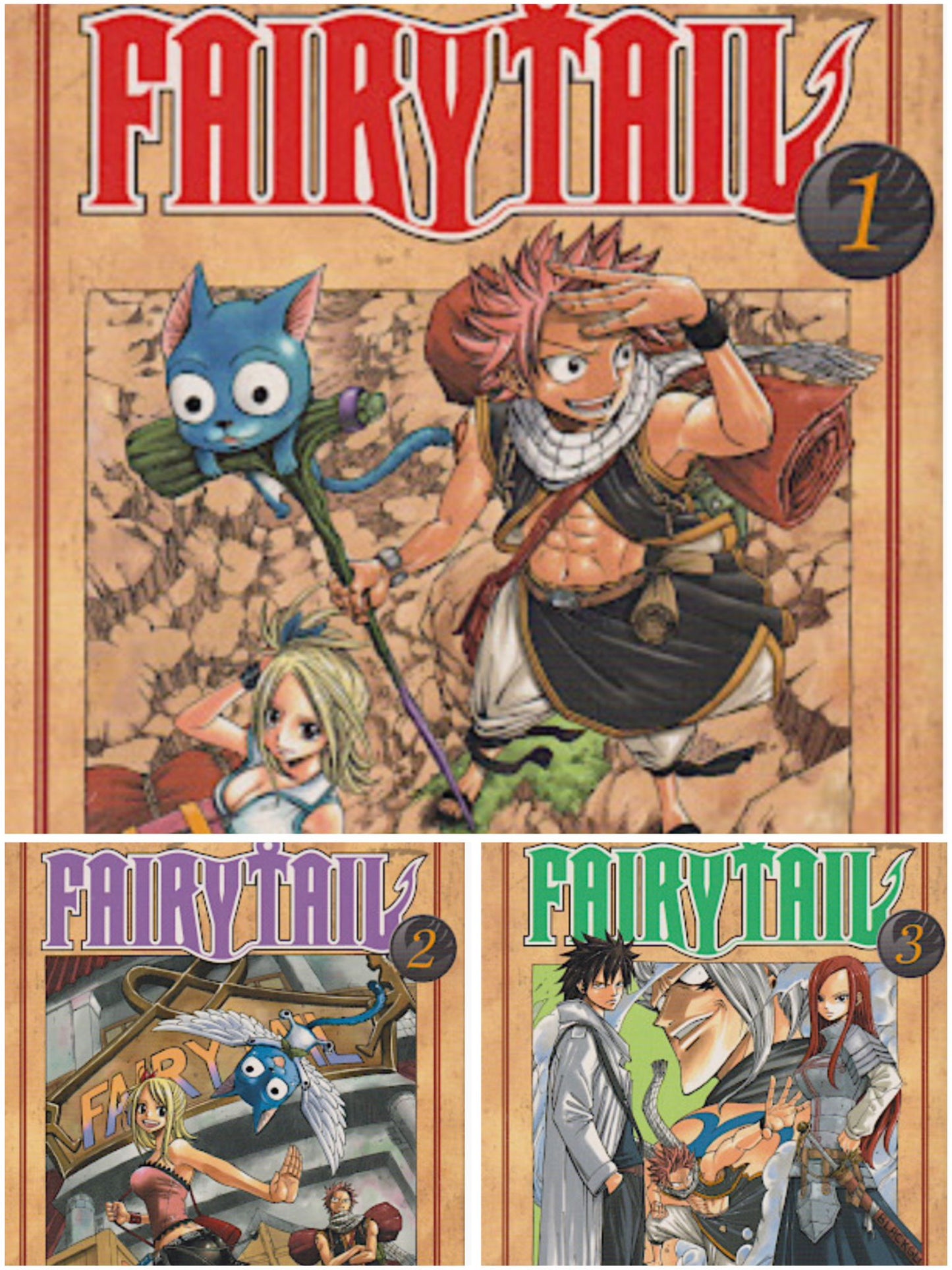 Fairy Tail 1-3