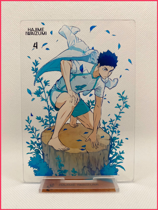 Haikyu!! - Acryl-Stand Iwaizumi Hajime