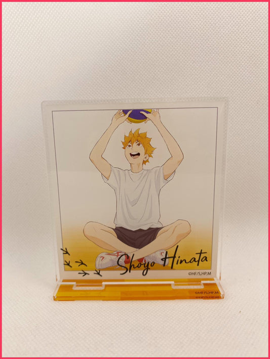 Haikyu!! - Acryl-Stand Hinata Shoyo