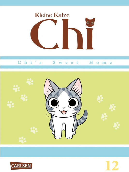 Kleine Katze Chi 12