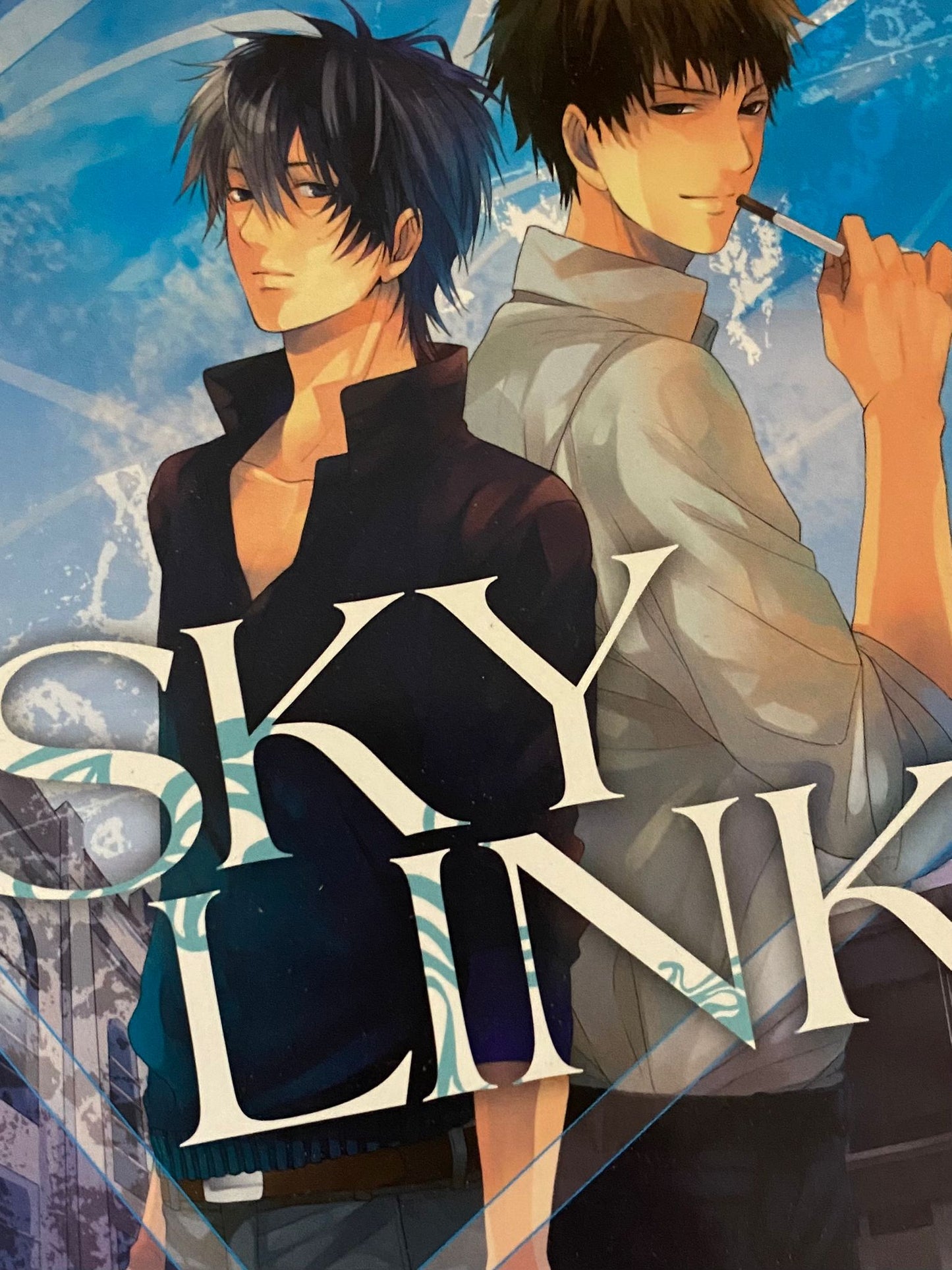 Sky Link