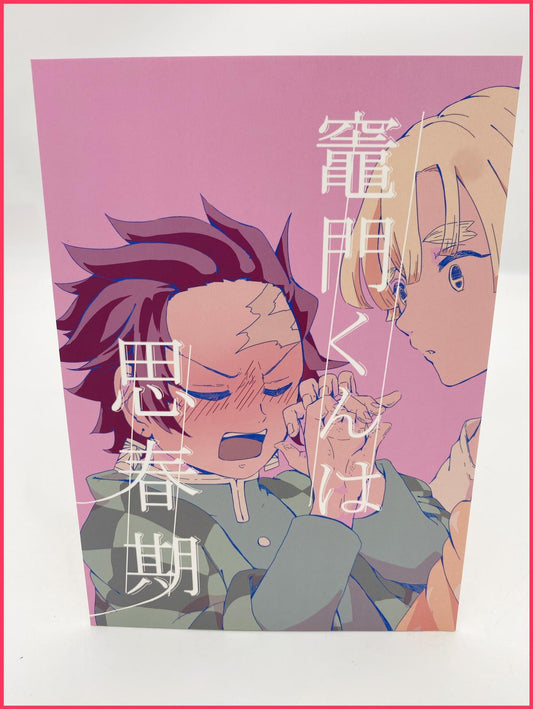 Demon Slayer Doujinshi